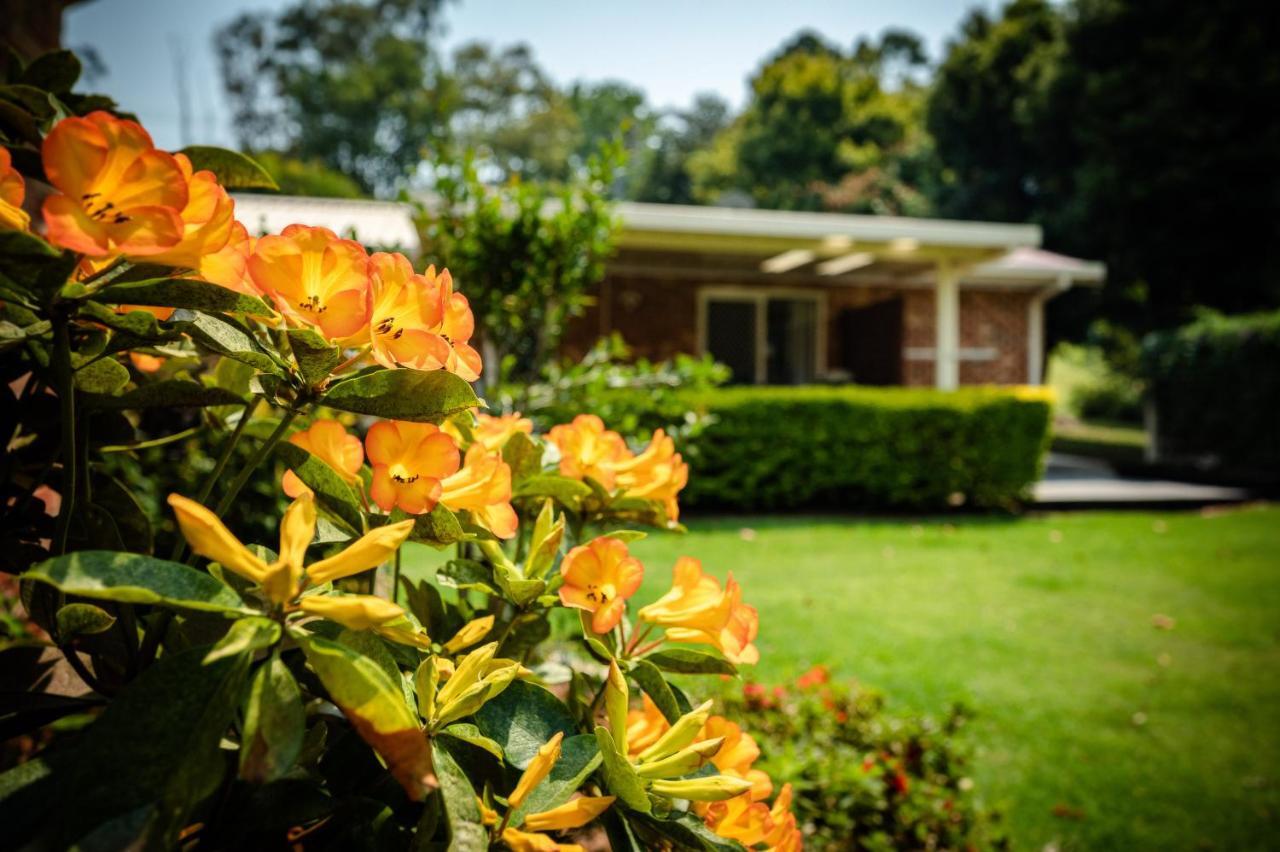 Alarks Nest Bed And Breakfast Coffs Harbour Eksteriør bilde