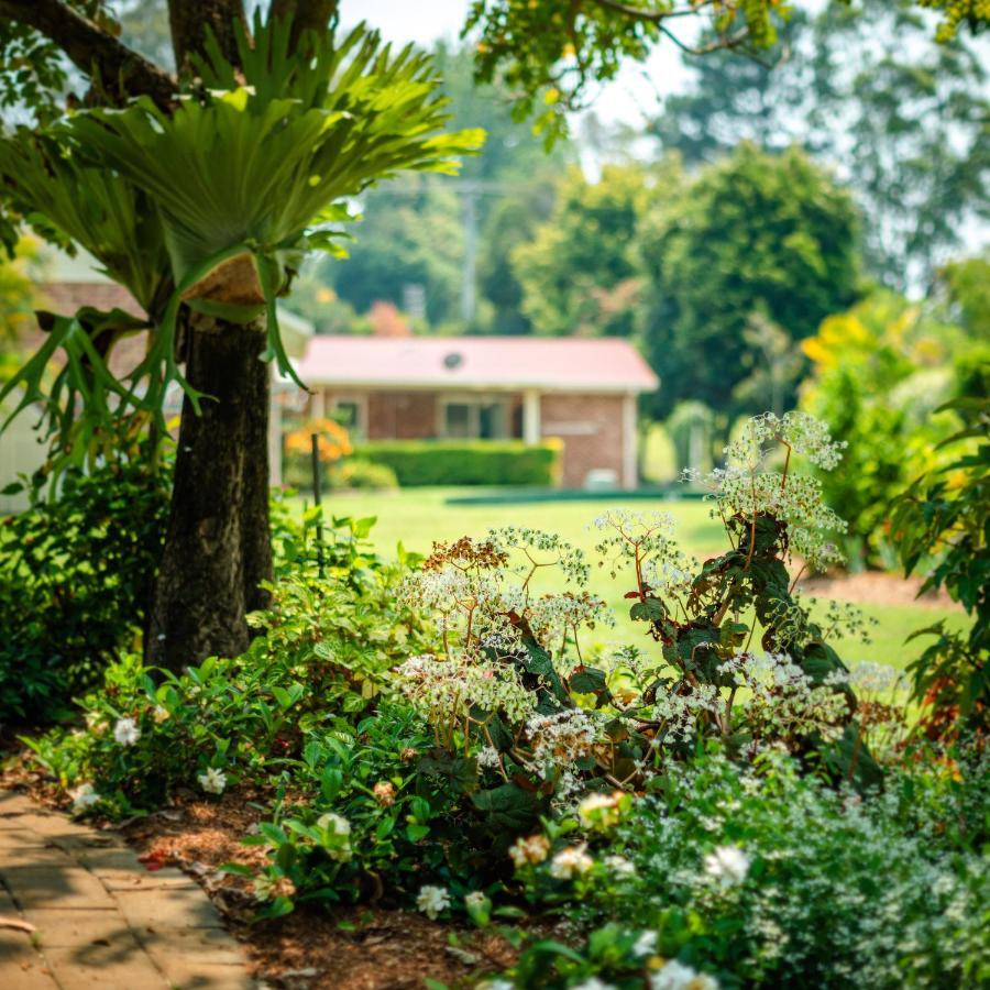 Alarks Nest Bed And Breakfast Coffs Harbour Eksteriør bilde